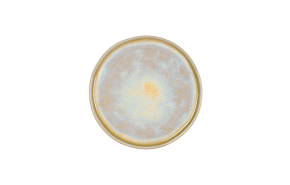 bord plat Gold Glister 20,5 x 1,5 cm.