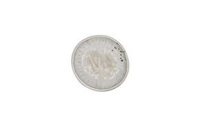 bord plat grijs Clay 17 cm.