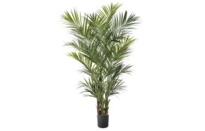 kunstplant Kentiapalm