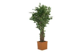 kunstplant ficus 200 cm.