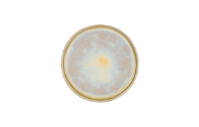 bord plat Gold Glister 20,5 x 1,5 cm.